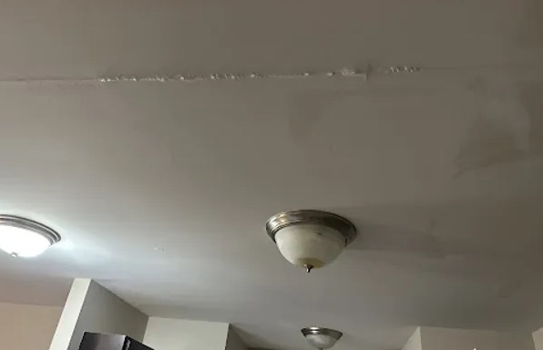 Ceiling Mold Removal in Columbia, SC
