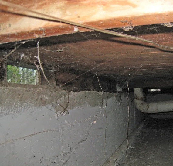 Crawl Space Mold Removal in Columbia, SC