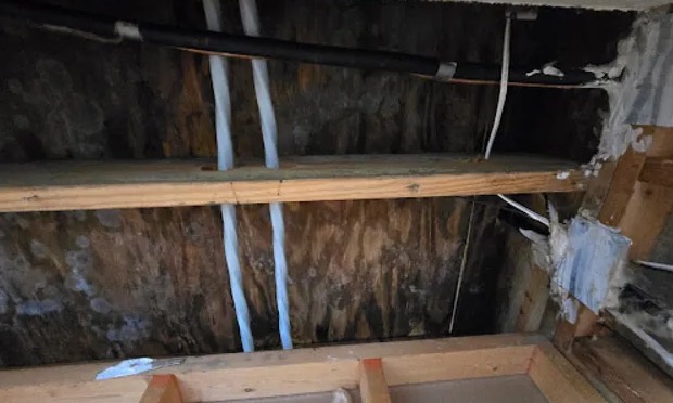 Attic Mold Remediation in Columbia, SC