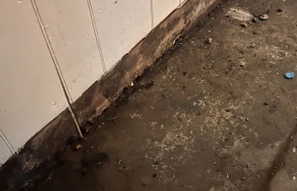 Basement Sewage Cleanup in Columbia, SC