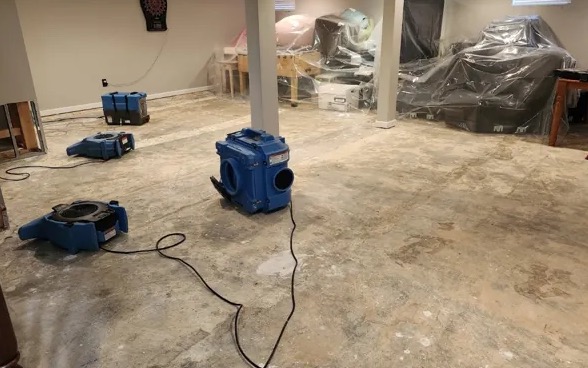 Mold Testing Services in Columbia, SC